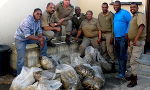 Tonne perlemoen gevind